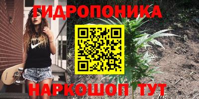 прущие крисы Бузулук