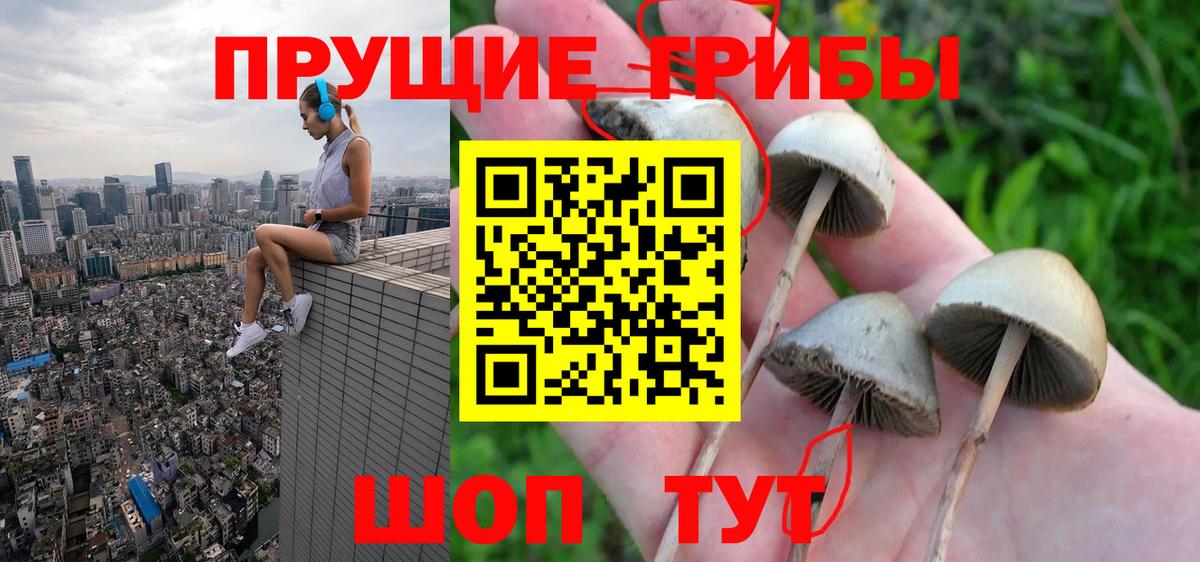 Галлюциногенные грибы прущие грибы Нарткала