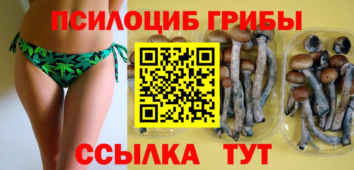 Галлюциногенные грибы Psilocybine cubensis  Вход с VPN  Нарткала  Псилоцибиновые грибы мицелий 